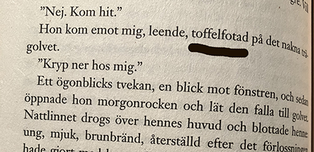 Toffelfotad citat ur boken Vad jag bevarat