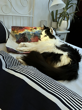 Lucifer på Annas säng