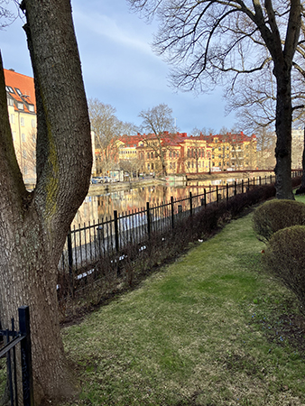 Träd och staket vid Fyrisån