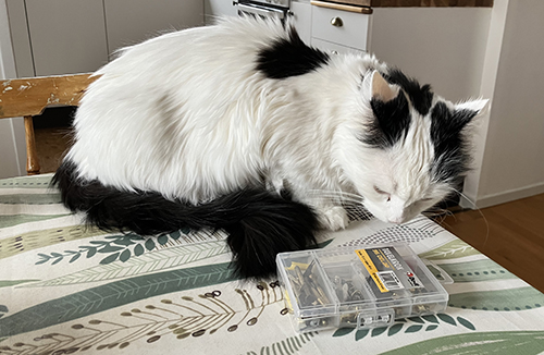 Citrus på Annas köksbord