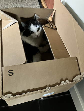 Gubben i lådan Lucifer