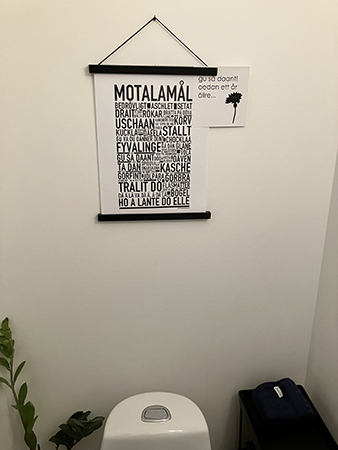 Motalamål på gästtoaletten