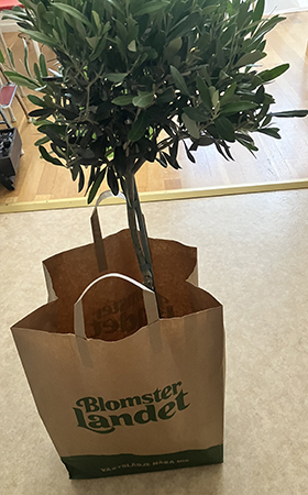 Påse från Blomsterlandet