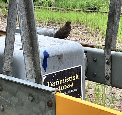 Pippi på väg till feministisk gatufest