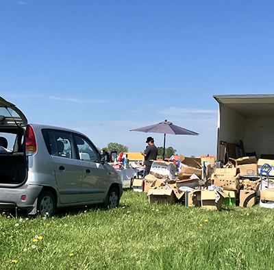 Bakluckeloppis på Ulva