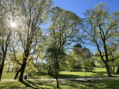 Slottet i majgrönska från Carolinabacken