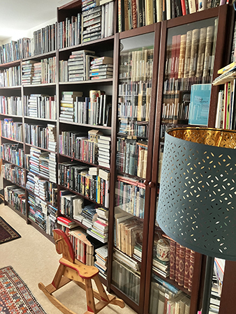 Bokhyllor gunghästen