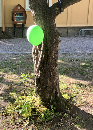 En grön ballong i ett träd
