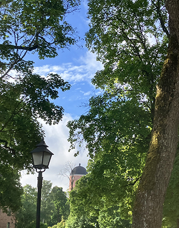 Norra tornet på Uppsala slott skymtar mellan träden