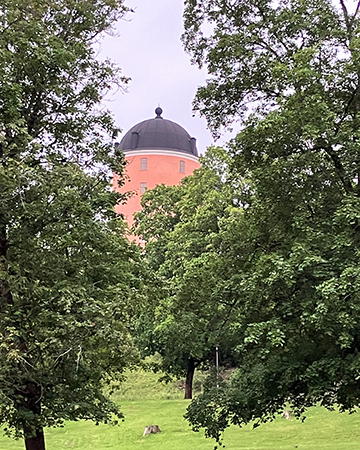 Norra tornet Uppsala slott i grönska