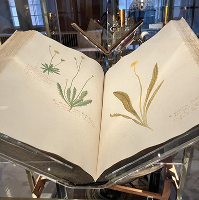 Florabok Gustavianum