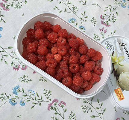 En halvliter hallon från Slottsträdgården