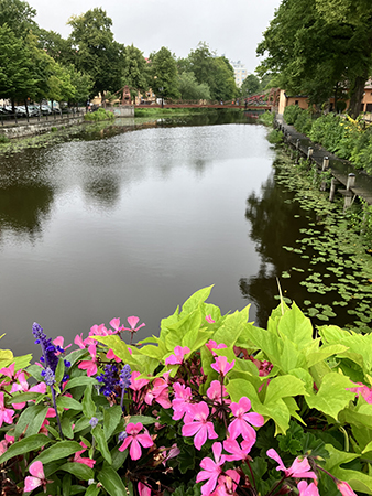 Fyrisån från St Olofsbron med sommarblommor i lådor i förgrunden