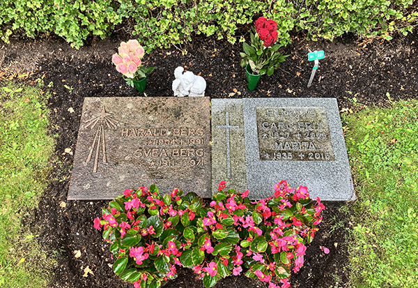 Rosor på graven 24 juli 2024 Rosor på graven 24 juli 2024