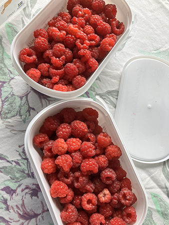 Två halvlitrar hallon 7 juli 2024