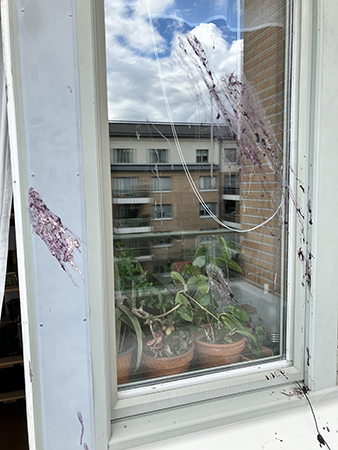 Fågelskit enorm på köksfönstret Fågelskit enorm på köksfönstret