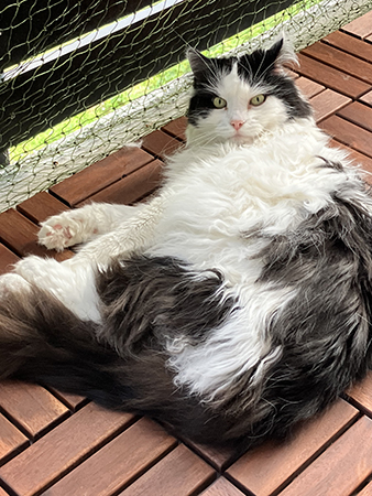 Lucifer på Annas balkong