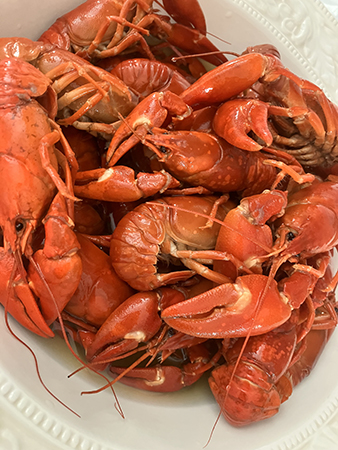 Insjökräftor hos Anna