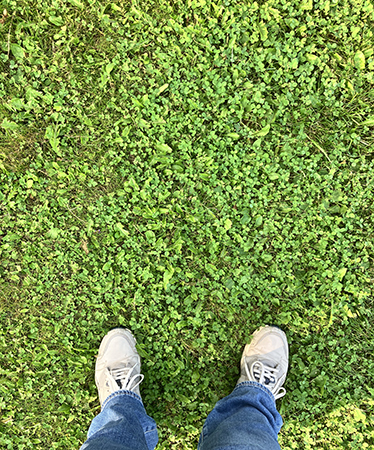 Med fötterna i jympadojor på gräs Med fötterna i jympadojor på gräs