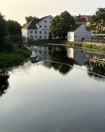 Fågel simmar i ett V på Fyrisån Fågel simmar i ett V på Fyrisån