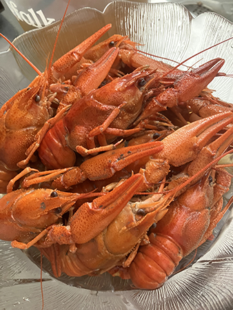 Turkiska kräftor hos Anna