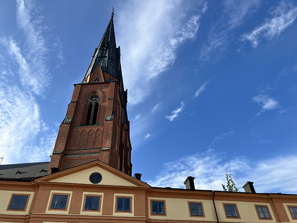 Domkyrkotorn med ett träd som ser ut att växa ur huset framför Domkyrkotorn med ett träd som ser ut att växa ur huset framför
