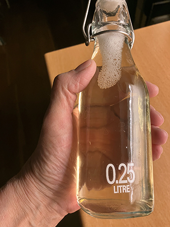 Annas svartvinbärsbladssaft