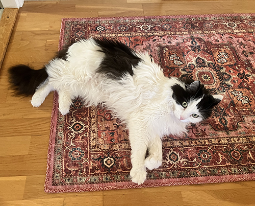 Lucifer på hallmattan hos Anna