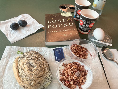 Jobblunch med boken Lost and Found och plommon till dessert