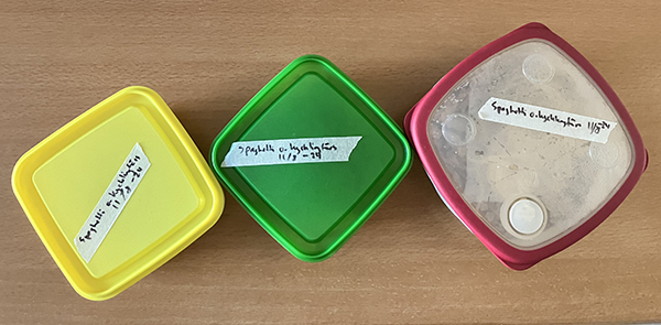 Tre matlådor med spaghetti o kycklingfärs