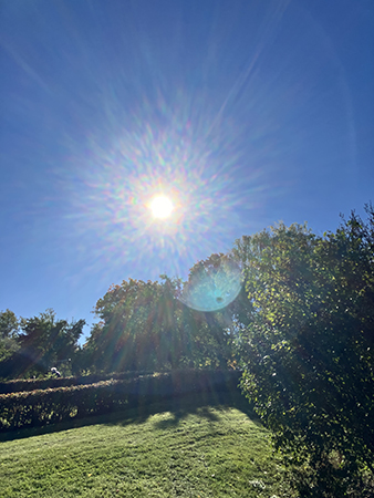 Septembersol i Höganäsparken