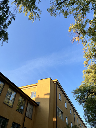 Hustopp mot blå septemberhimmel Hustopp mot blå septemberhimmel