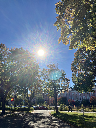 Septembersol vid Österplan