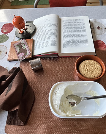 Vaniljglass digestive Hopptimisten o bokuppslag