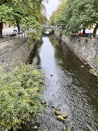 Fyrisån från Dombron