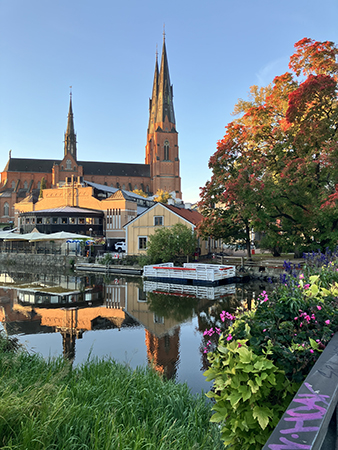 Domkyrkan och höstträd sedda från St Olofsbron