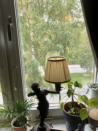 Gult i björken utanför arbetsrumsfönstret Gult i björken utanför arbetsrumsfönstret