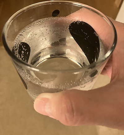 Svartvinbärsbladssaft från Anna med bubbelvatten