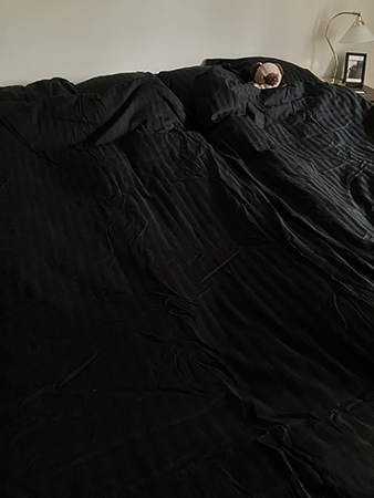 Bäddat med svart sation för mig och Nallisen