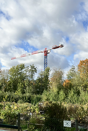 Kolonilotterna vid Höganäsparken och kran i bakgrunden