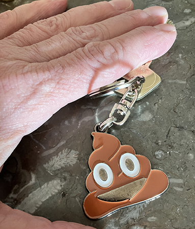 Nyckelring med bajsemoji