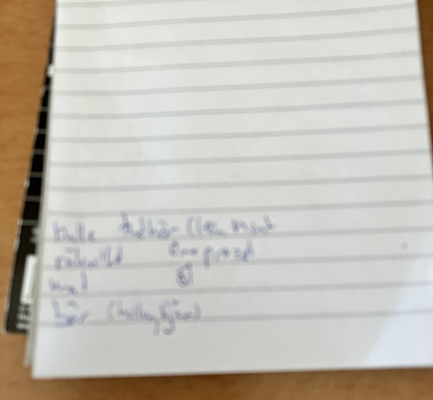 Suddig handlingslapp