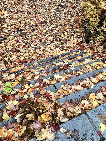 Fallna höstlöv på trappa