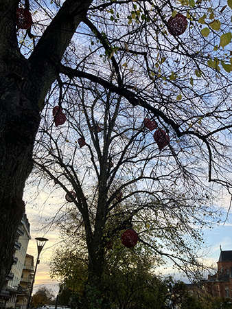 Röda bollar och hjärtan i träd på Östra Ågatan Röda bollar och hjärtan i träd på Östra Ågatan