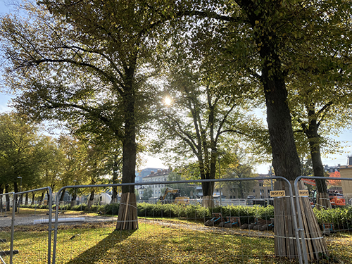 Höstsol o avspärrningar i allén vid järnvägen St Olofsgatan