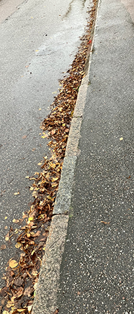 Löv och regnpöl i rännstenen Löv och regnpöl i rännstenen