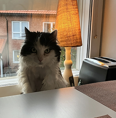 Lucifer i fönstret hos Anna