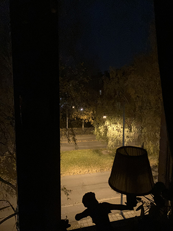 Oktobermorgon mot St Olofsgatan fotad genom arbetsrumsfönstret