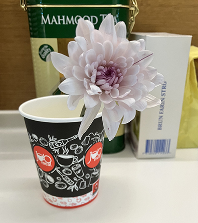 Blomma i pappersmugg