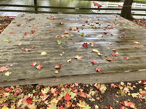 Höstscengolv vid ån